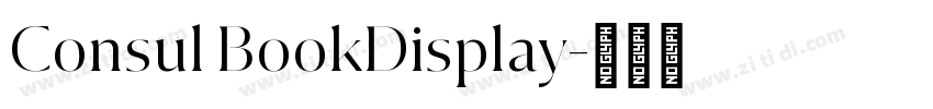 Consul BookDisplay字体转换